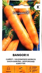 Carrot Bangor F1 Seeds